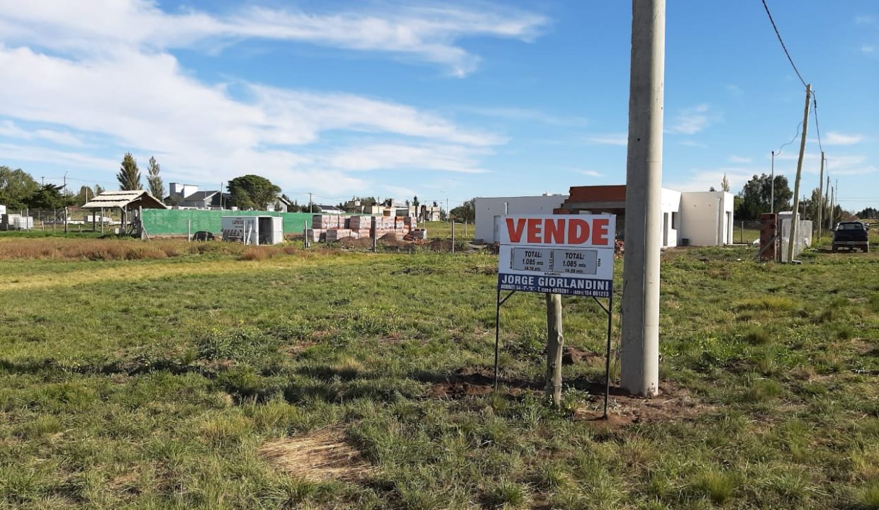 LOTE PAIHUEN (VERA Y RIGAMONTI) (1)