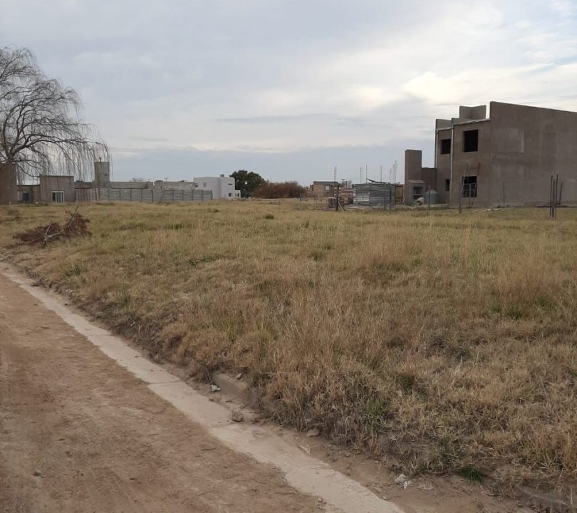 LAS ACACIAS-TEDESCO- 2