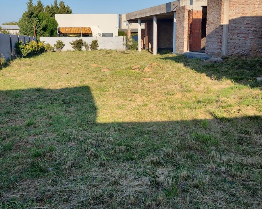 LAS CORTADERAS B LA CAÑADA 11