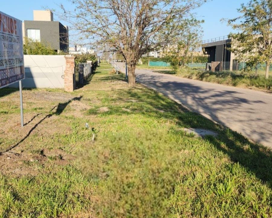 LAS CORTADERAS B LA CAÑADA 23