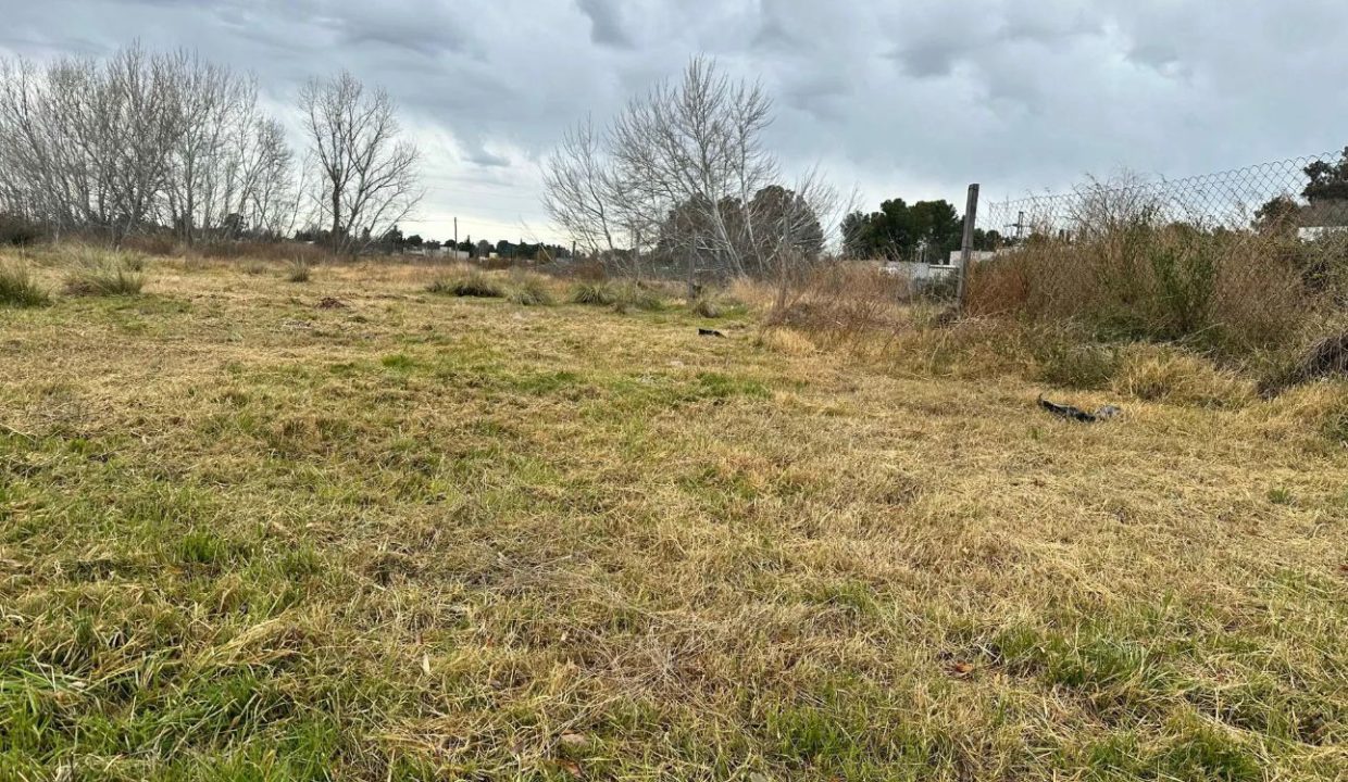 Ramón y Cajal 4300 (Dagnino Mariano) 4