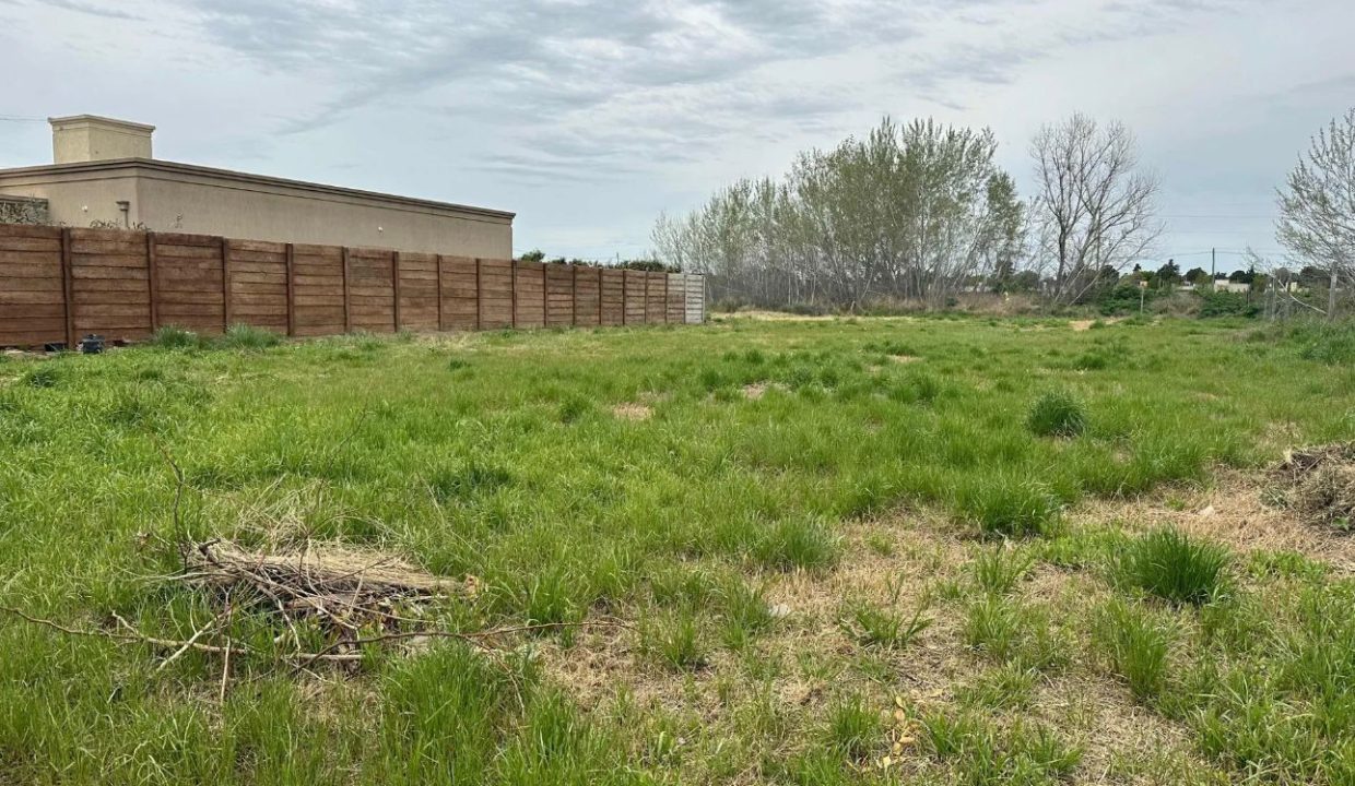 Ramón y Cajal 4300 (Dagnino Mariano) 5