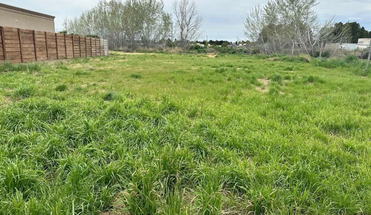 Ramón y Cajal 4300 (Dagnino Mariano) 6