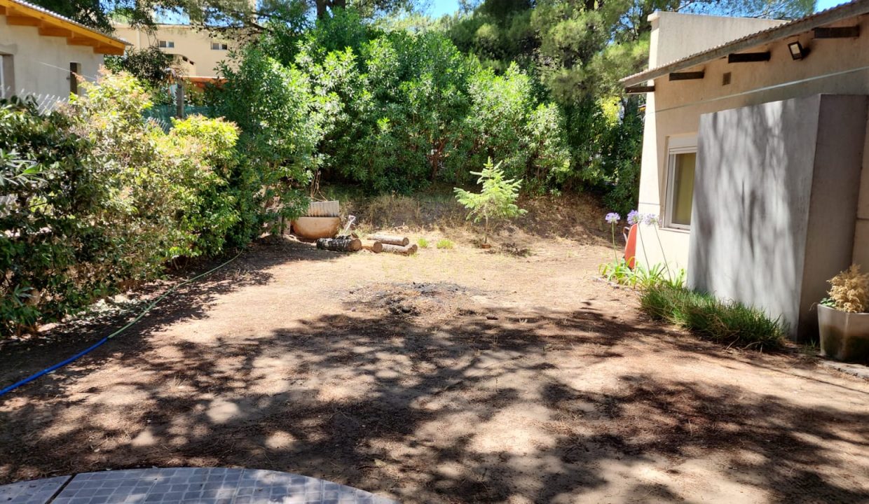 SANTIAGO FOSATTI 829I