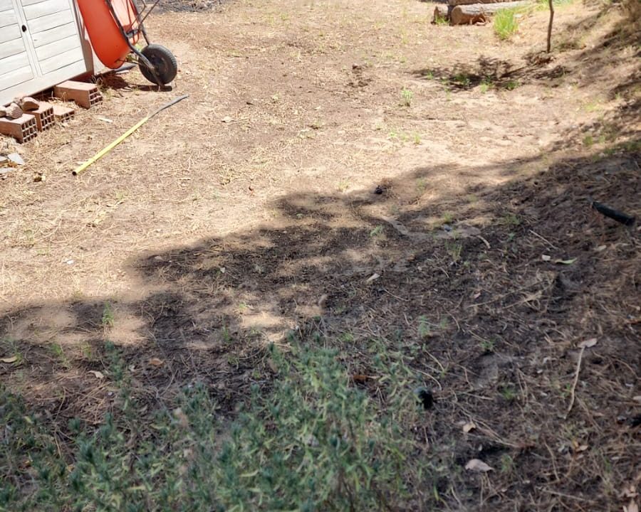 SANTIAGO FOSATTI 829K