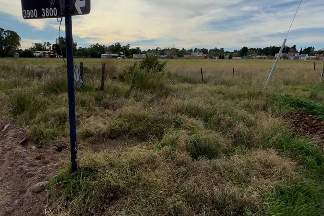 TERRENO ALEM 03