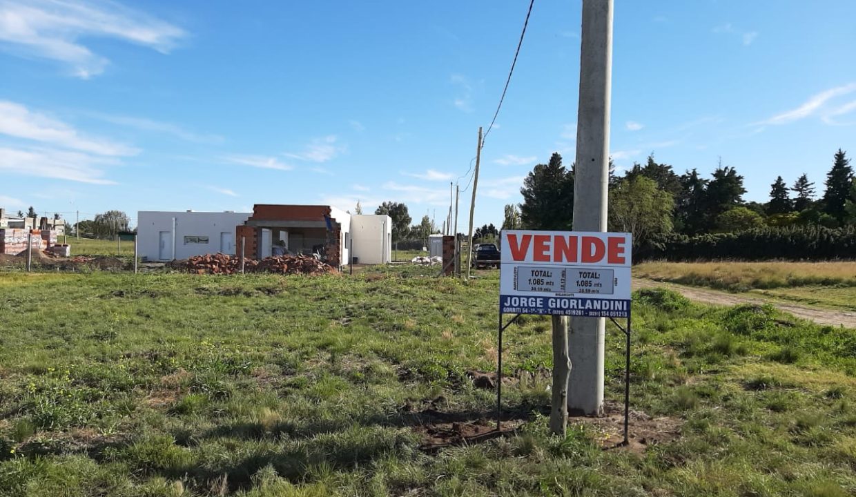 LOTE PAIHUEN (VERA Y RIGAMONTI) (2)