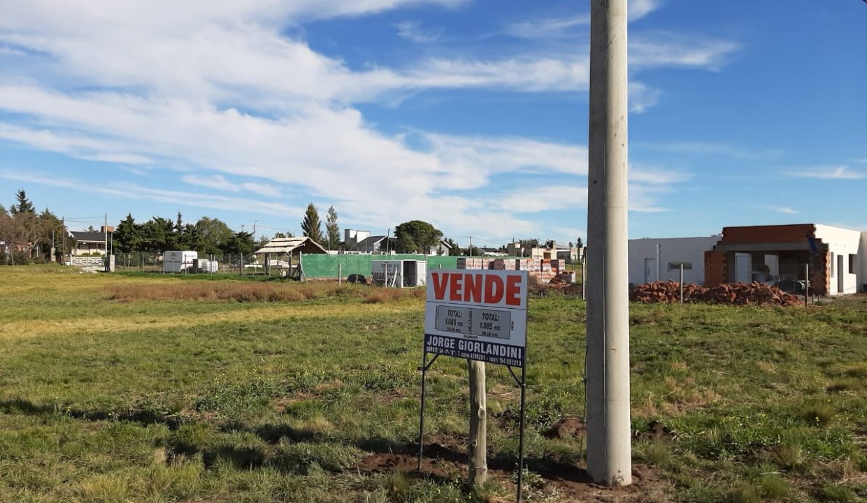 LOTE PAIHUEN (VERA Y RIGAMONTI) (3)